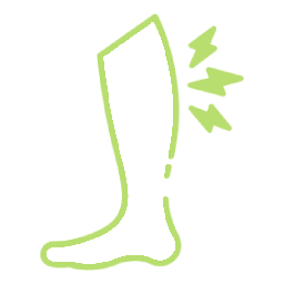 leg